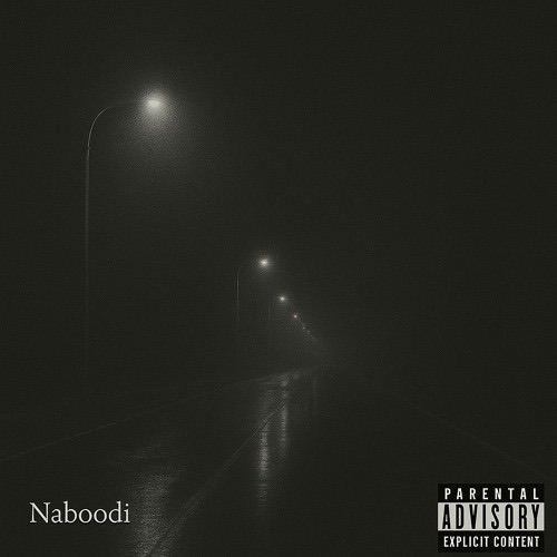 Naboodi cover: an empty street at night under fog and street lamps